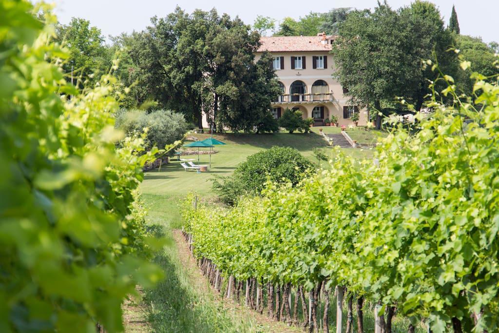 Villa Marani Rovolon 外观 照片