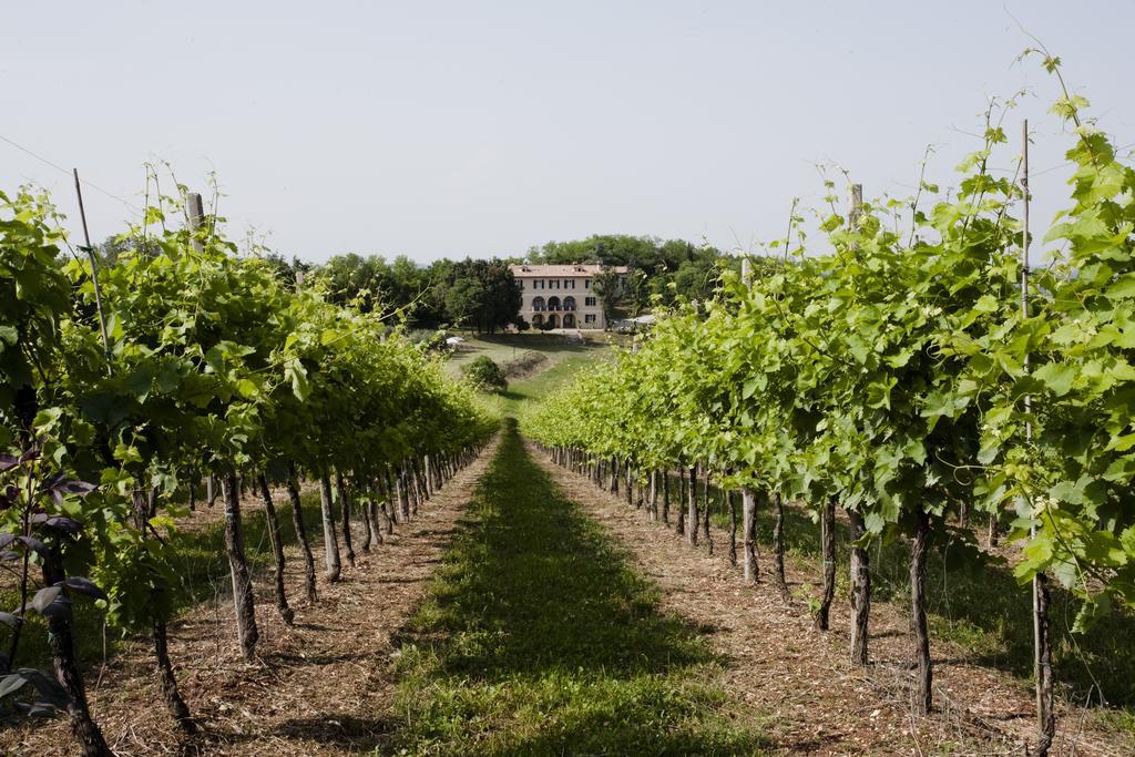 Villa Marani Rovolon 外观 照片